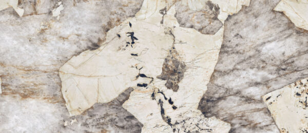 Atlas Concorde Marvel Gala Desert Soul Lapp. rett